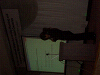 CIMG1707_thumb.png